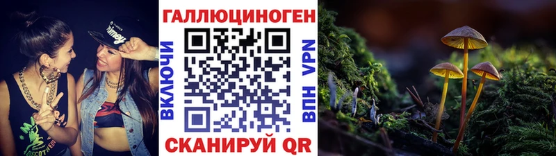 Галлюциногенные грибы мицелий  omg ONION  Кяхта 